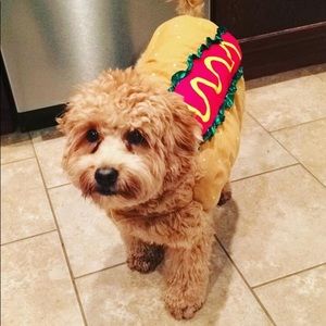 Hot Dog Costume